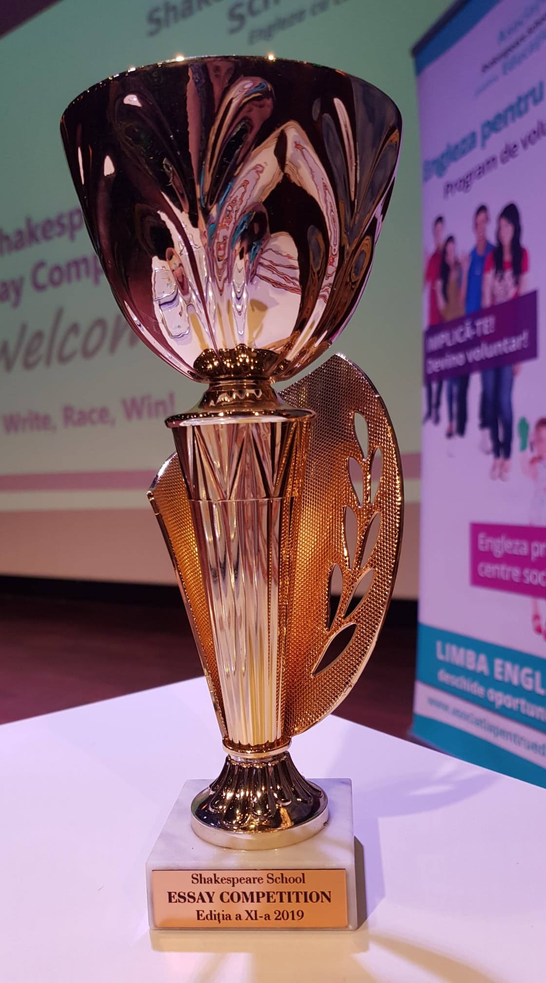 Shakespeare School Essay Competition 2019 si-a desemnat castigatorii 10 64214270 359093724746345 1397430767247687680 n