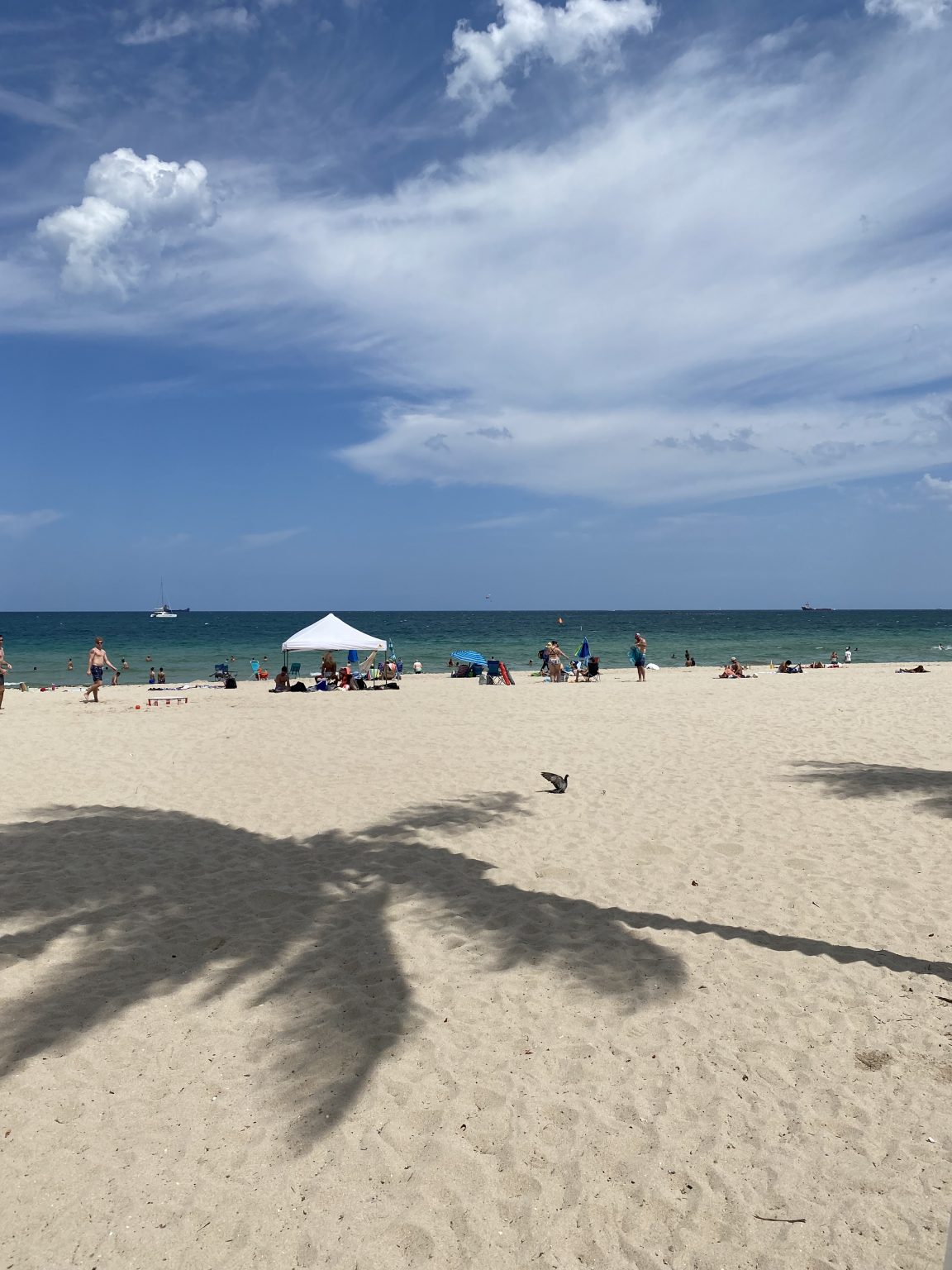 Claudia T. (mama lui Casian) - Tabăra Fort Lauderdale, Miami