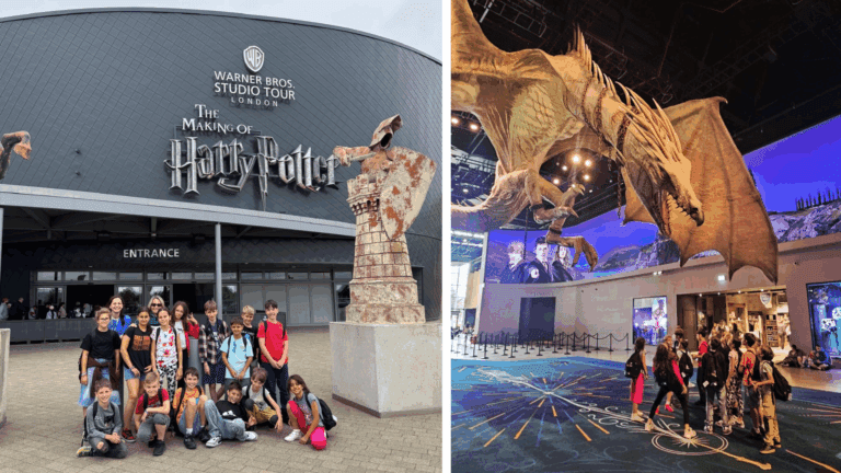 Tabara engleza Leighton Park School, Anglia - UK 16 tabara-engleza-leighton-park-school-anglia-uk-21