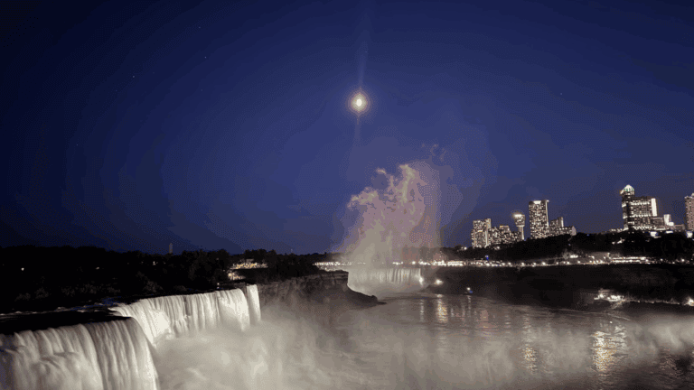 tabara-engleza-st-johns-university-new-york-sua (24)