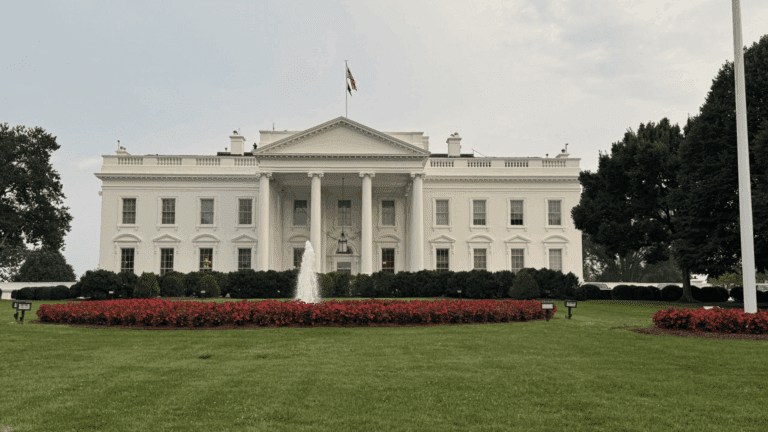 tabara-engleza-st-johns-university-new-york-sua (18)