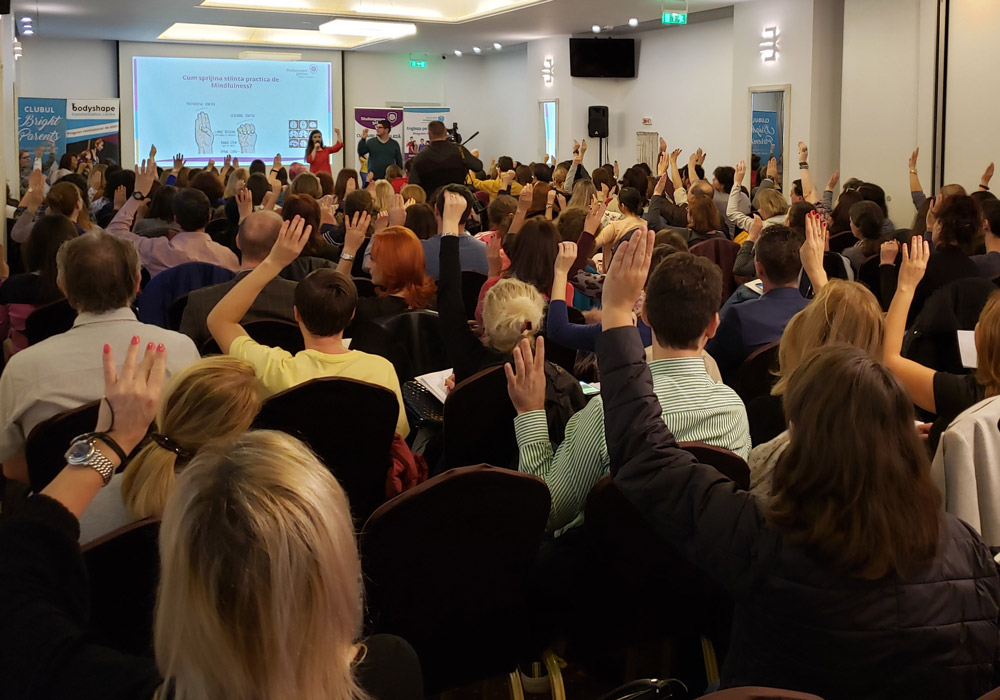 conferinta 0 articol