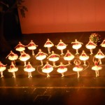 DSCN0491