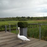 Aventura Scotiana a inceput? 2 100 1843