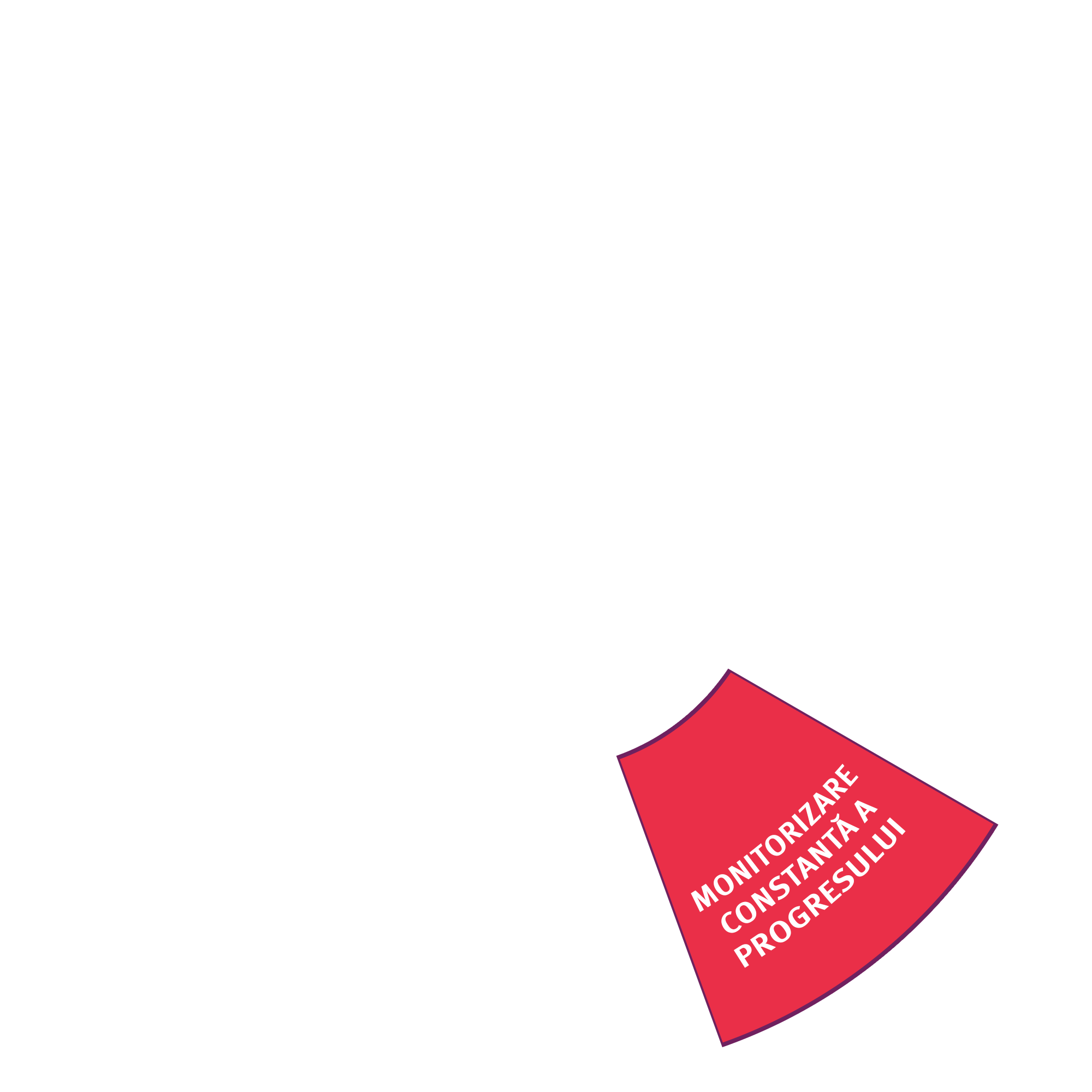 Cursurile noastre 13 Felia 4