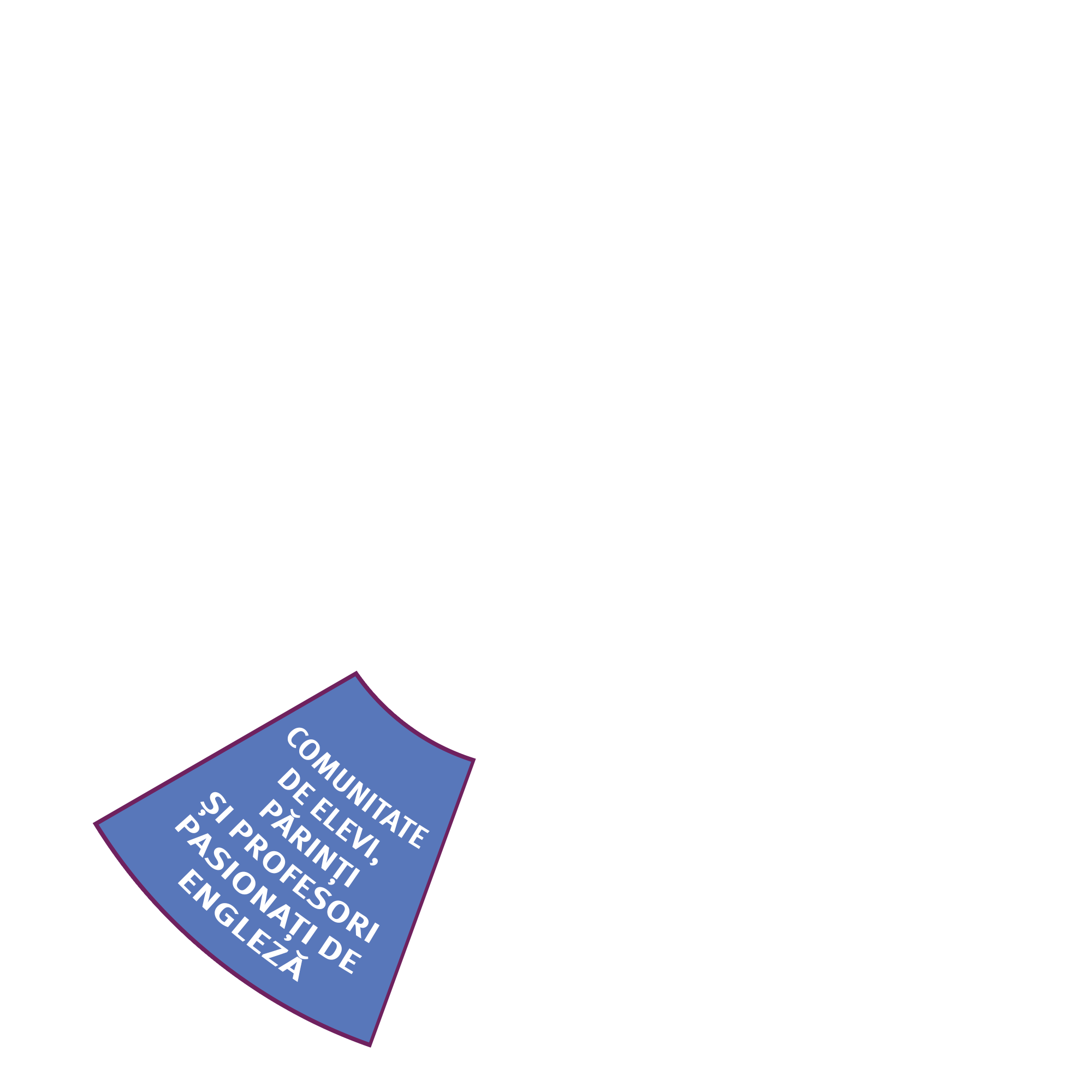 Cursurile noastre 15 Felia 6