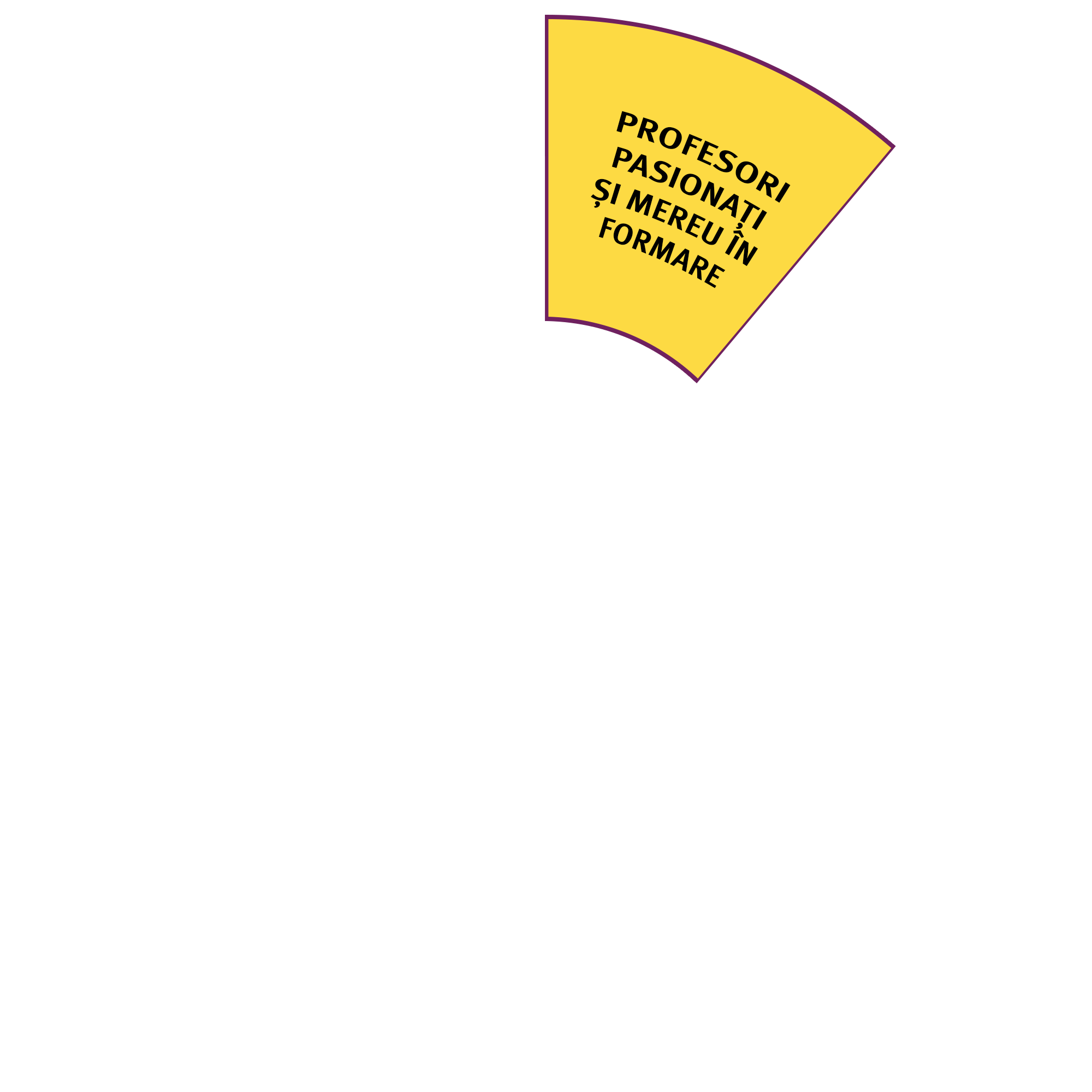 Cursurile noastre 10 Felia 1