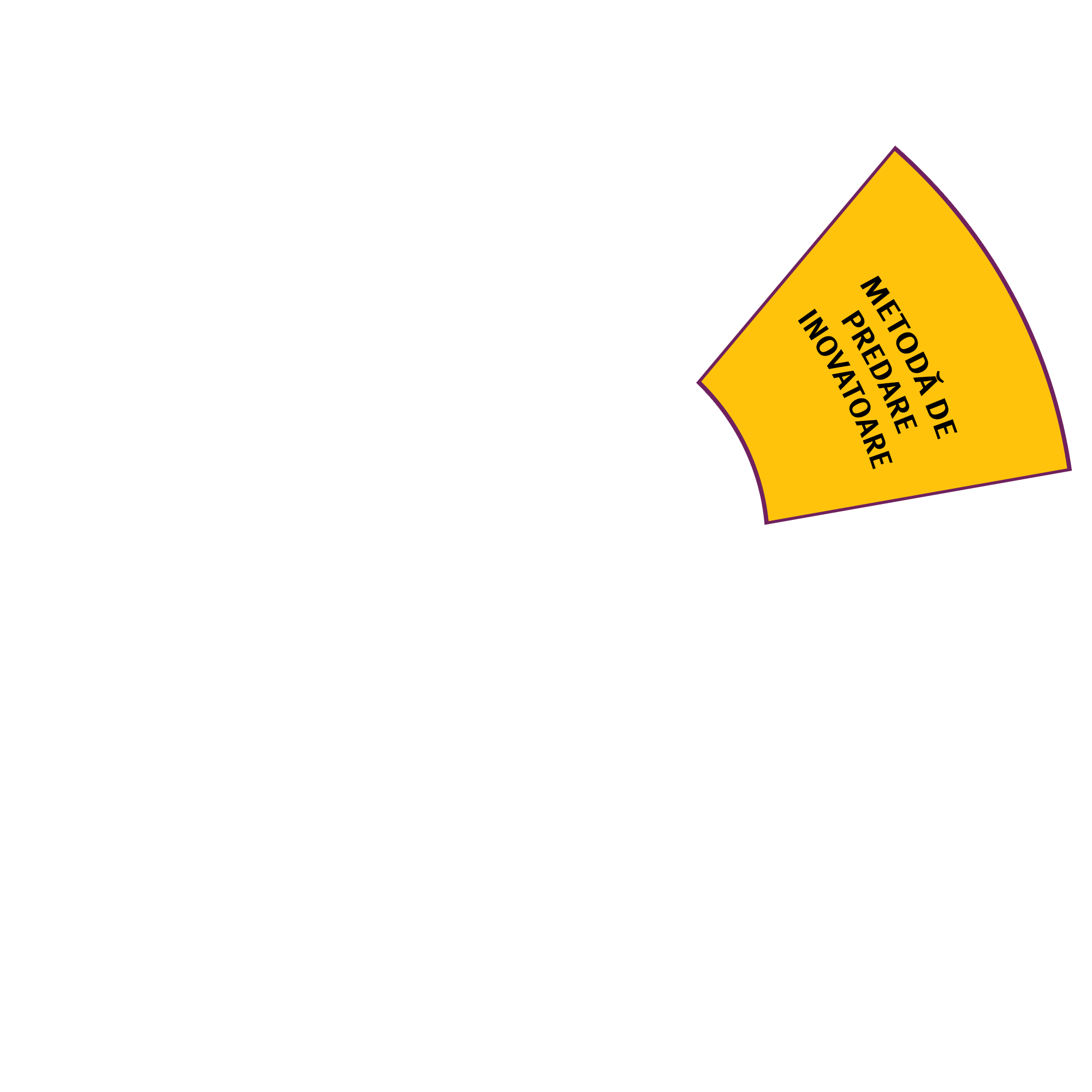 Cursurile noastre 11 Felia 2